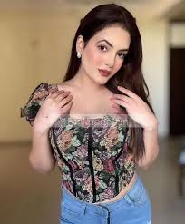 Celebrity Celebrity Escorts In Chandigarh